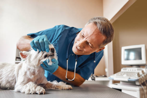 Best Emergency Tooth Extraction  in Ackley, IA